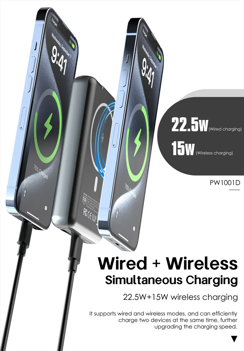 Lenyes 10,000 mAh Power Bank PW1001D