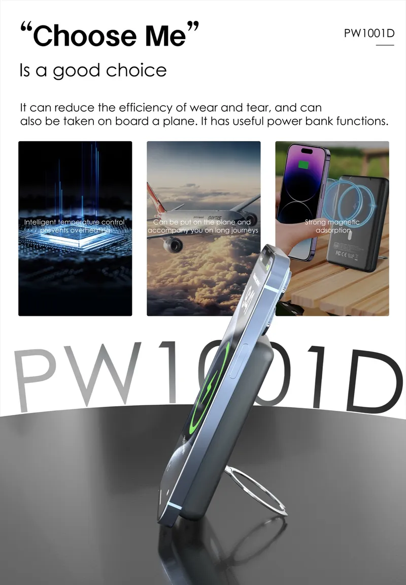 Lenyes 10,000 mAh Power Bank PW1001D