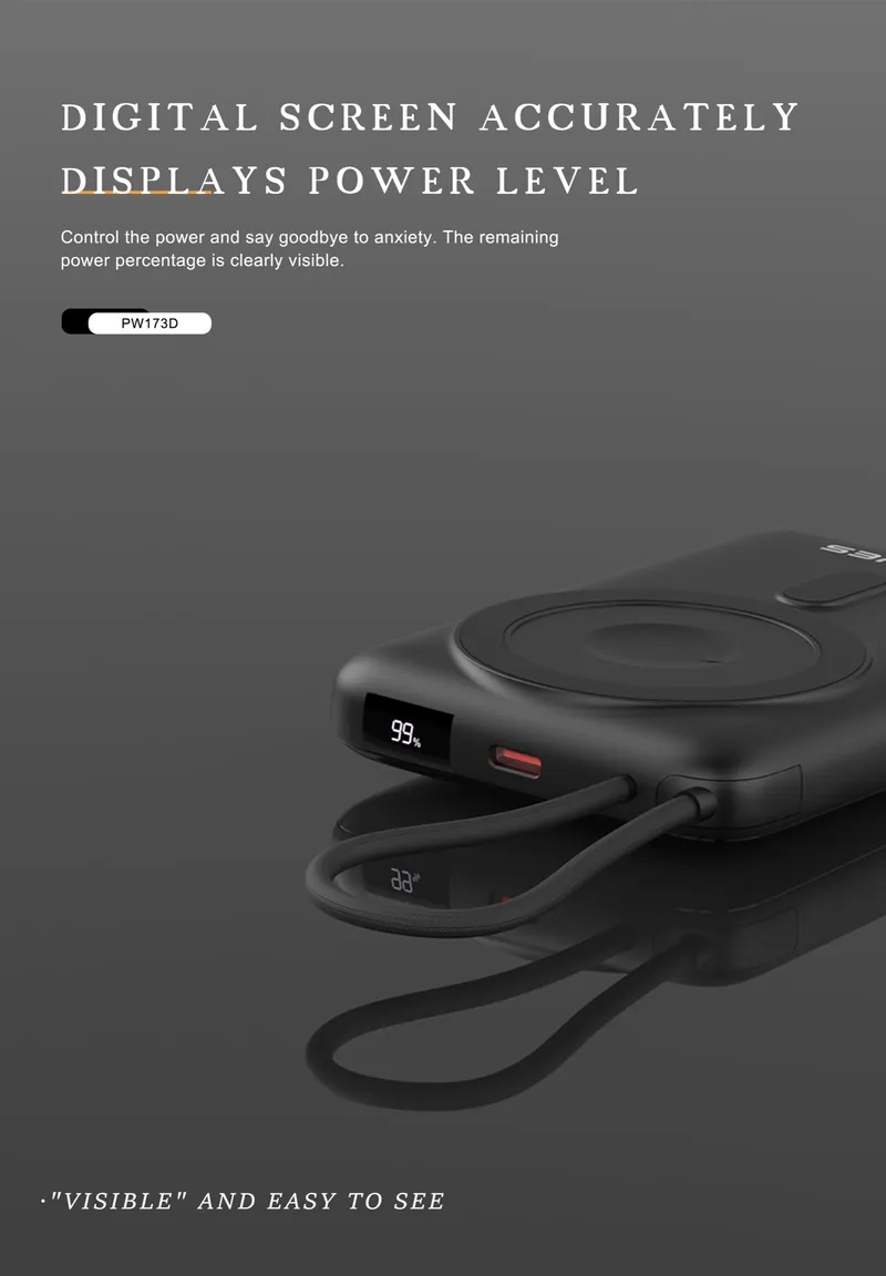 Lenyes 10,000 mAh Power Bank PW173D