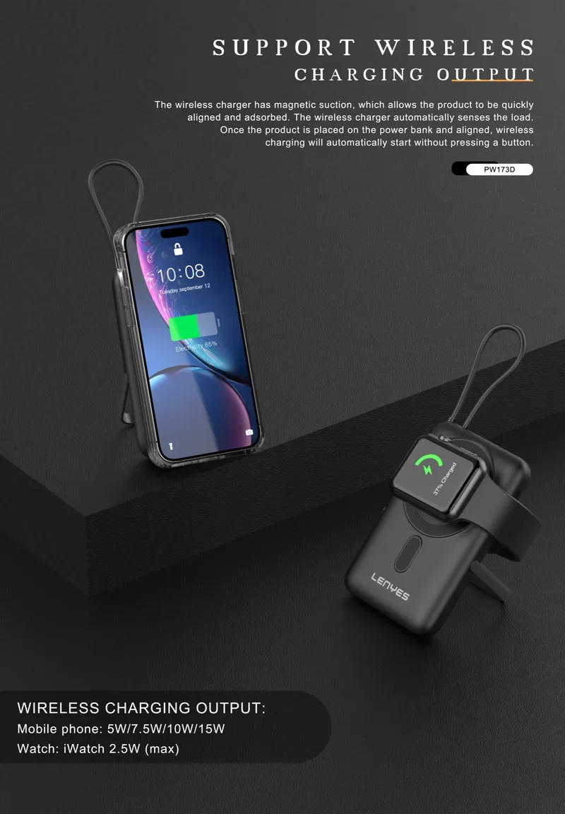 Lenyes 10,000 mAh Power Bank PW173D