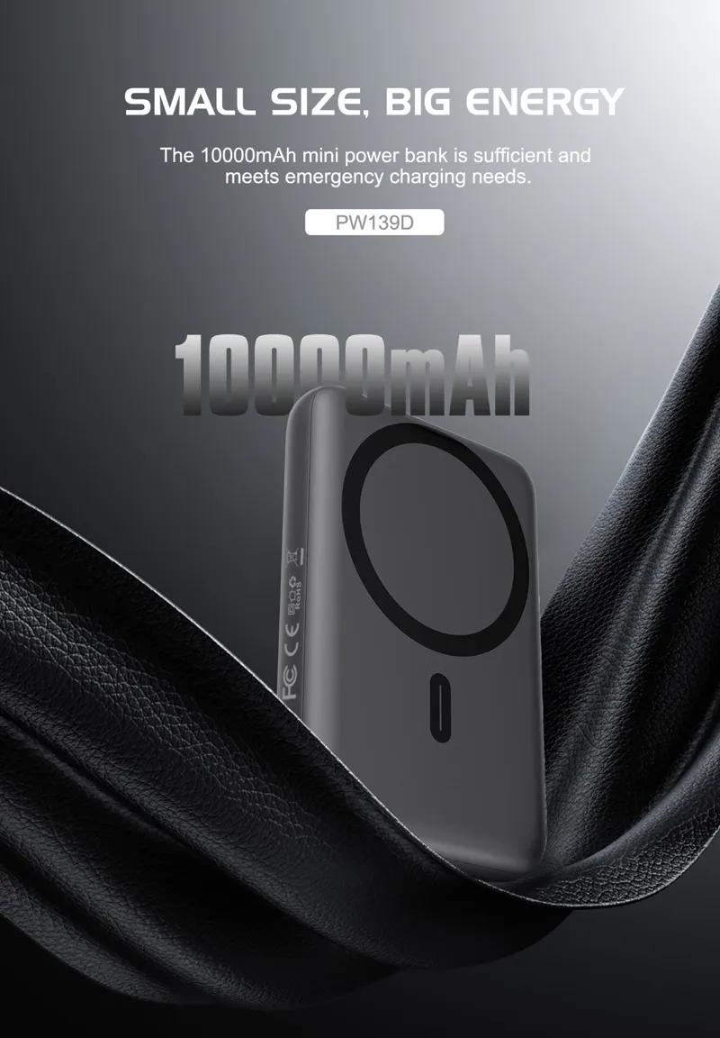 Lenyes 10,000 mAh Power Bank PW139D