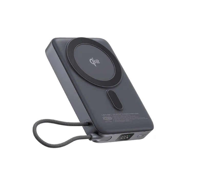 Lenyes 10,000 mAh Power Bank PW1009D