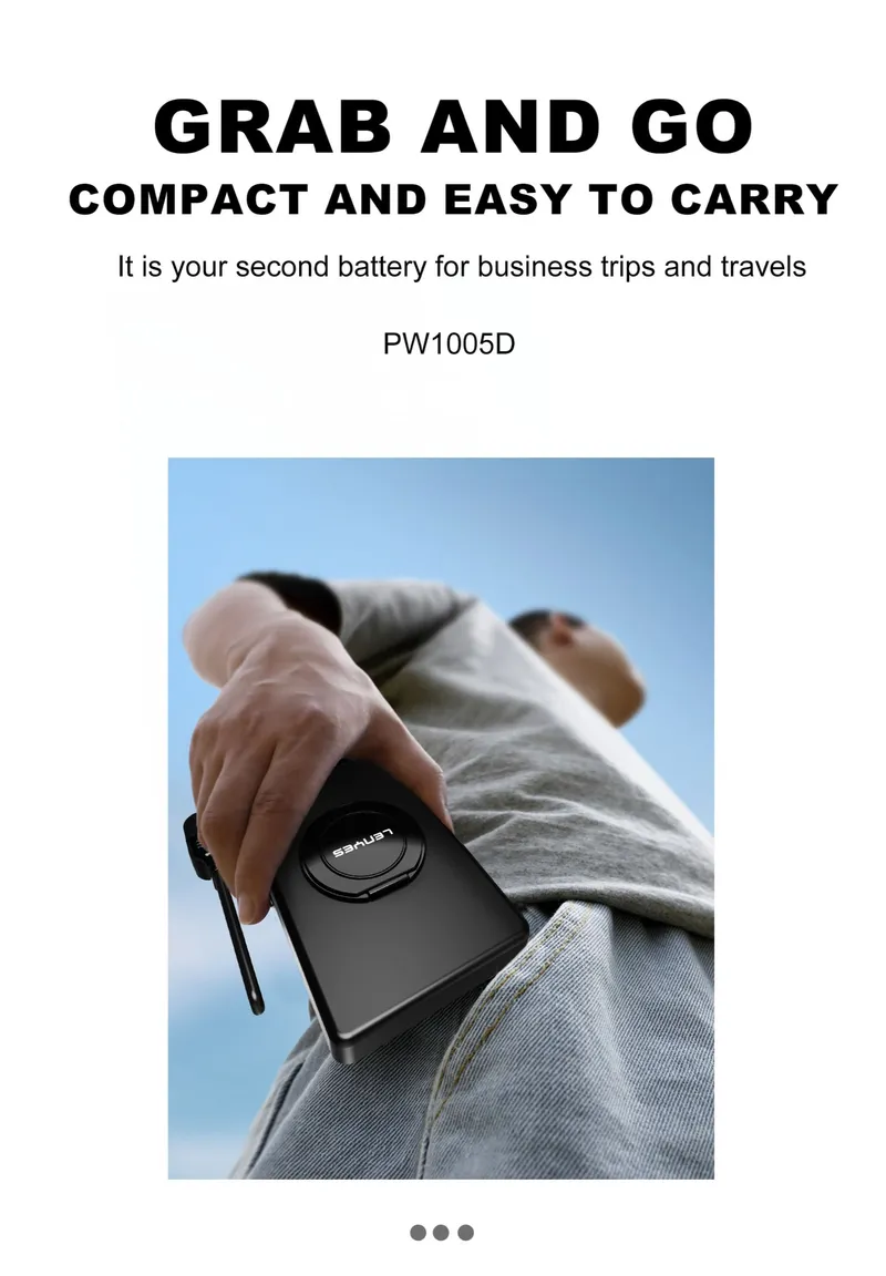 Lenyes 10,000 mAh Power Bank PW1005D