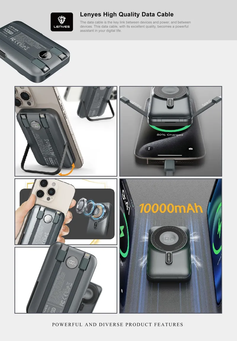 Lenyes 10,000 mAh Power Bank PW1006D