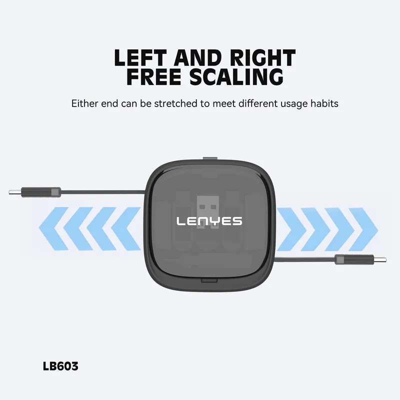 Lenyes 6-in-1 Adapter Storage Box LB603
