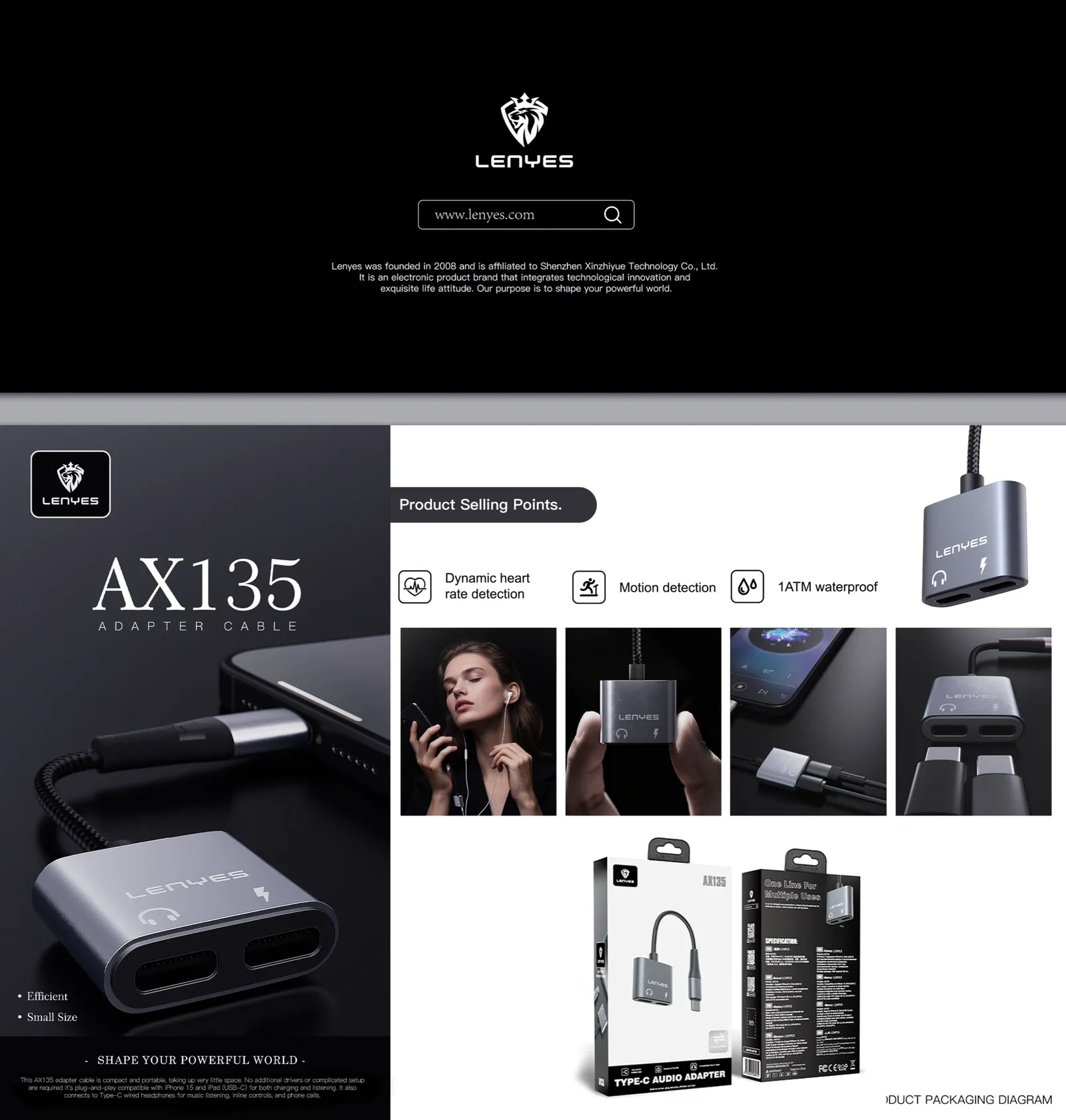 Lenyes USB-C to Dual 3.5 mm Audio Adapter AX135
