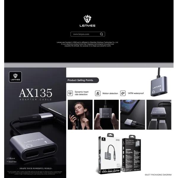 Lenyes USB-C to Dual 3.5 mm Audio Adapter AX135