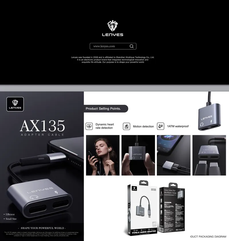 Lenyes USB-C to Dual 3.5 mm Audio Adapter AX135