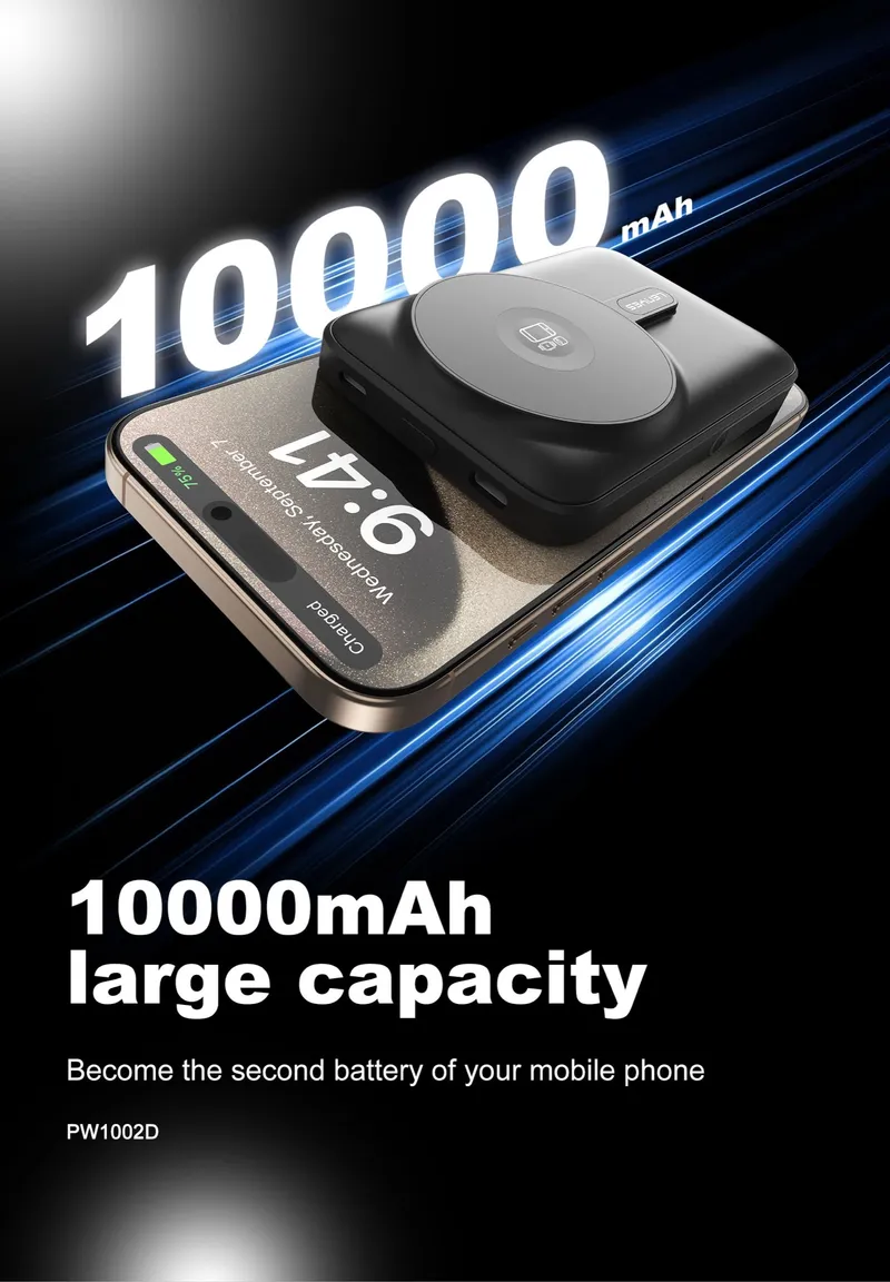 Lenyes 10,000 mAh Power Bank PW1002D