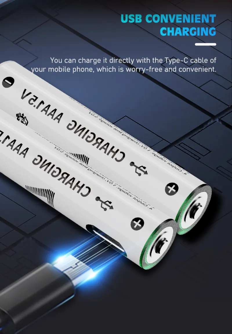 Lenyes USB-C Rechargeable Battery AAA107
