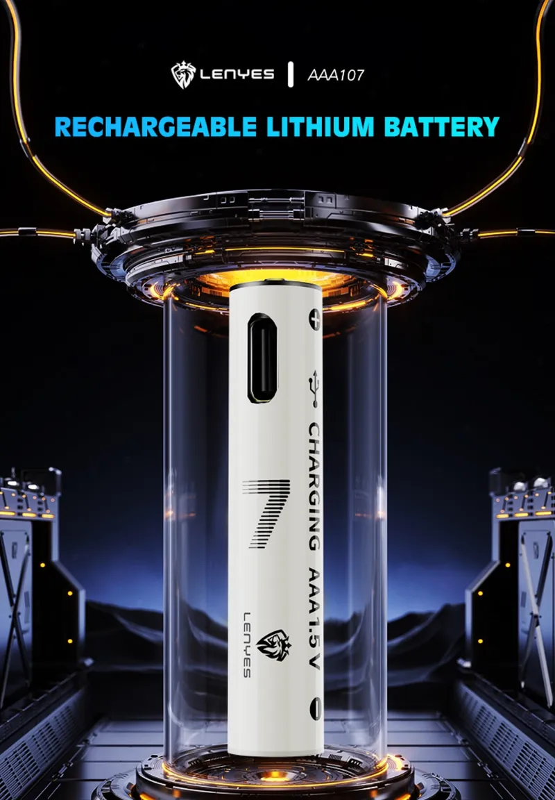 Lenyes USB-C Rechargeable Battery AAA107