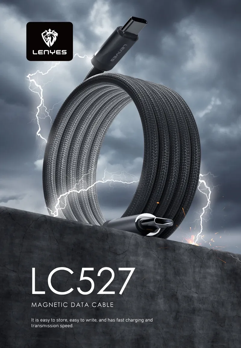 Lenyes USB-C to USB-C Cable LC527