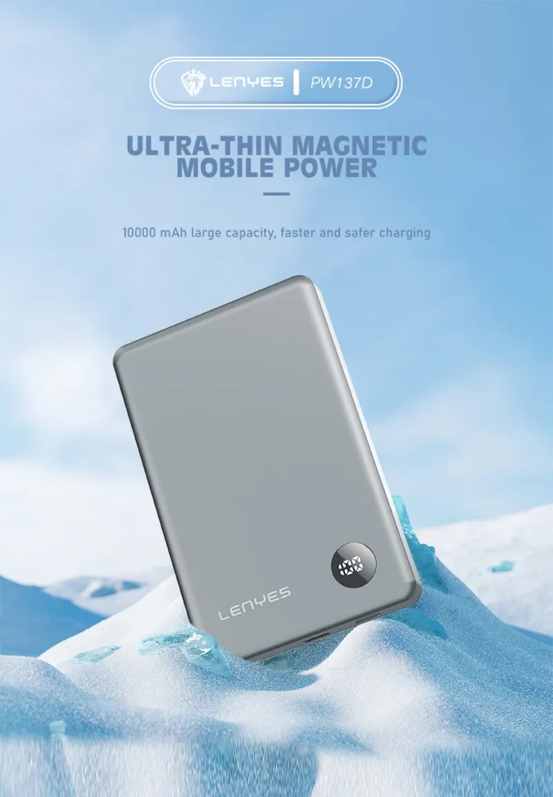 Lenyes 10,000 mAh Power Bank PW137D