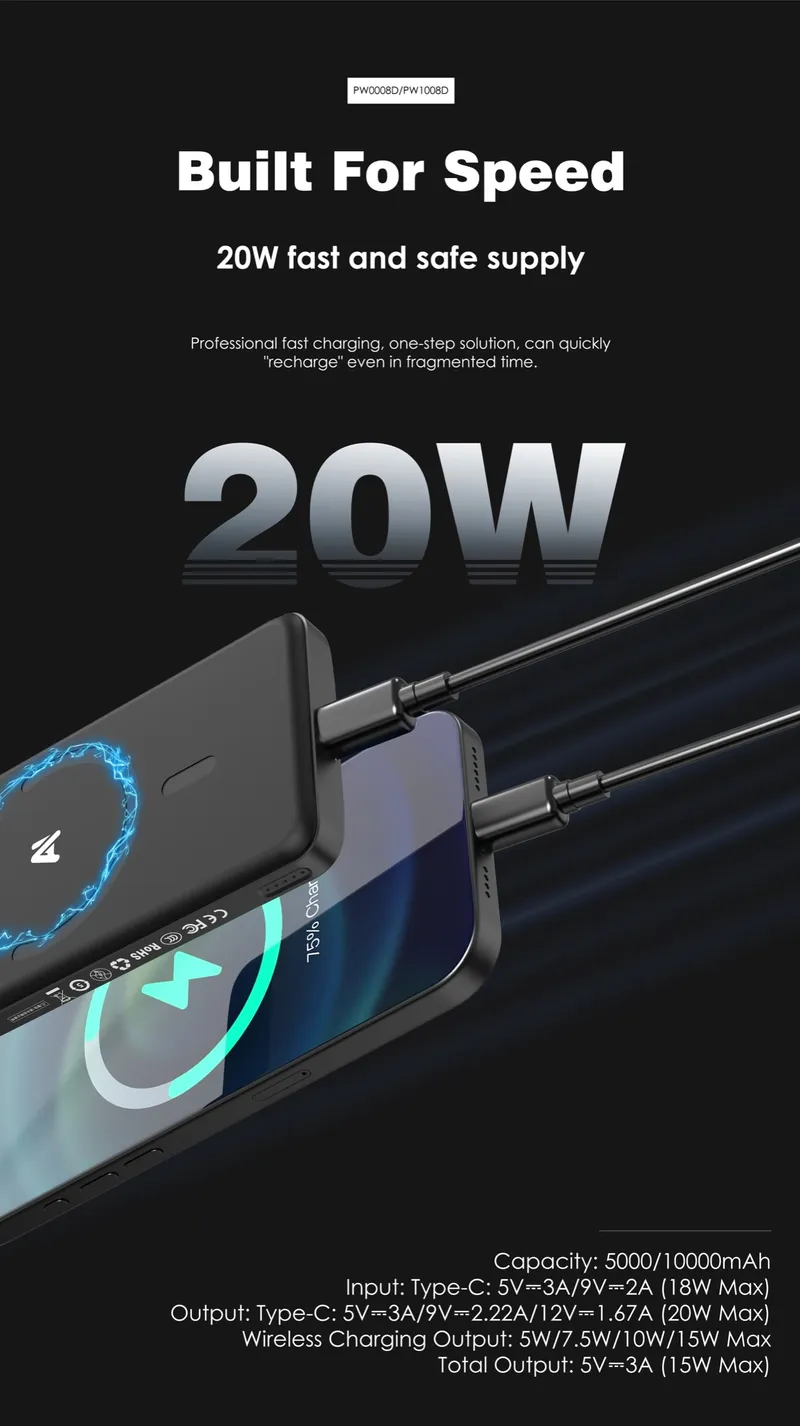 Lenyes 10,000 mAh Power Bank PW1008D