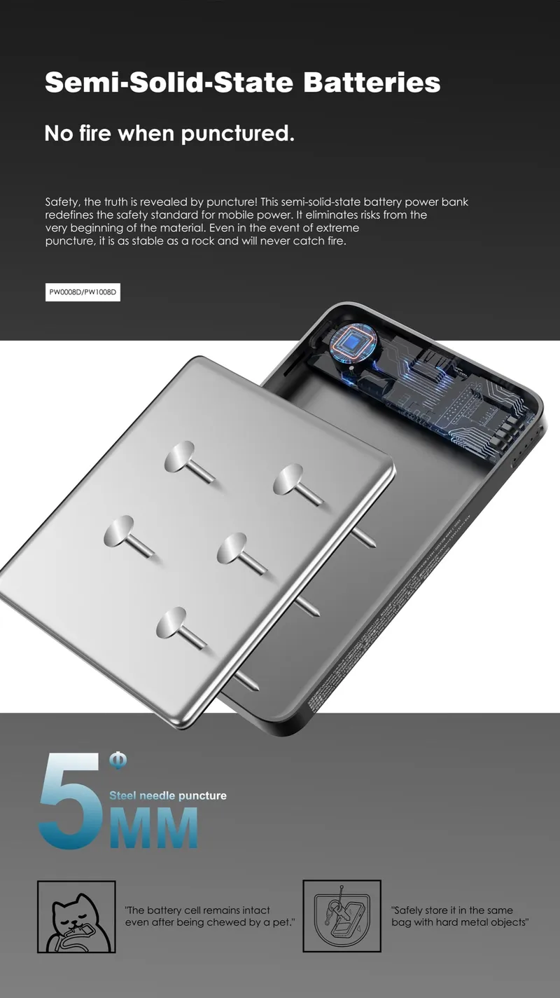 Lenyes 10,000 mAh Power Bank PW1008D