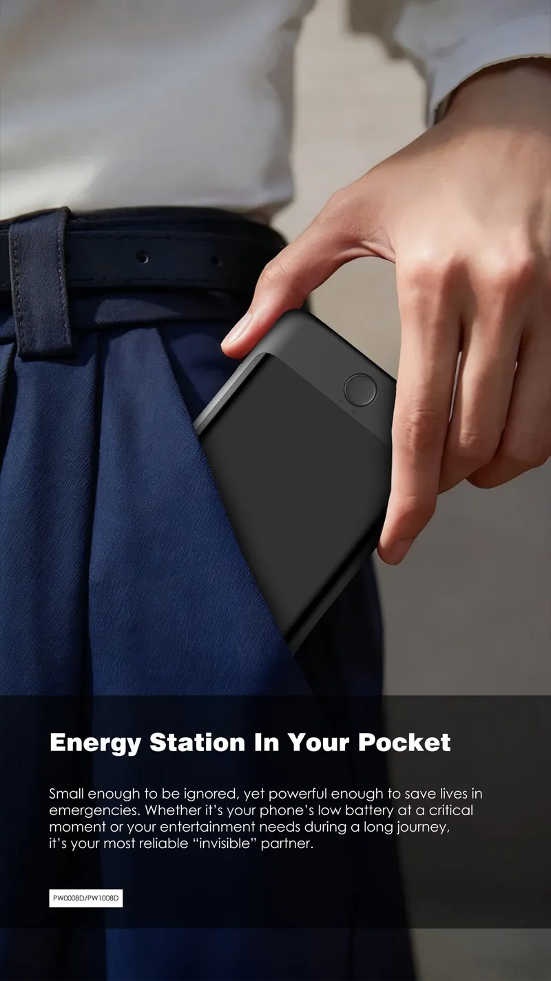 Lenyes 10,000 mAh Power Bank PW1008D