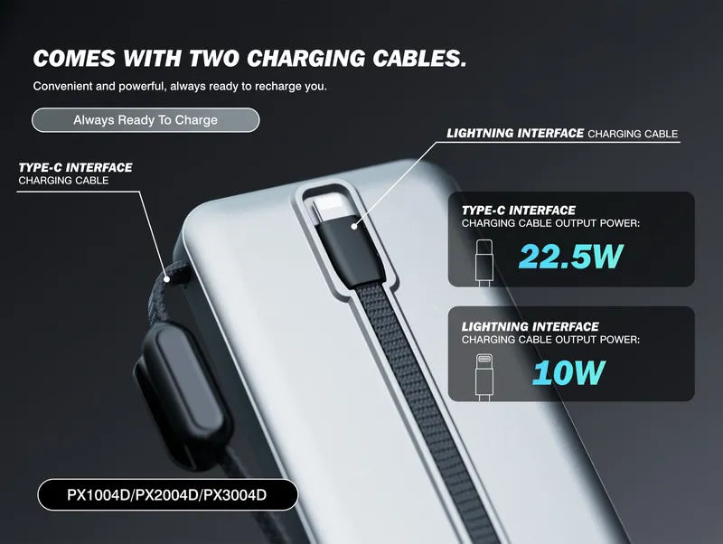 Lenyes 20,000 mAh Power Bank PX2004D