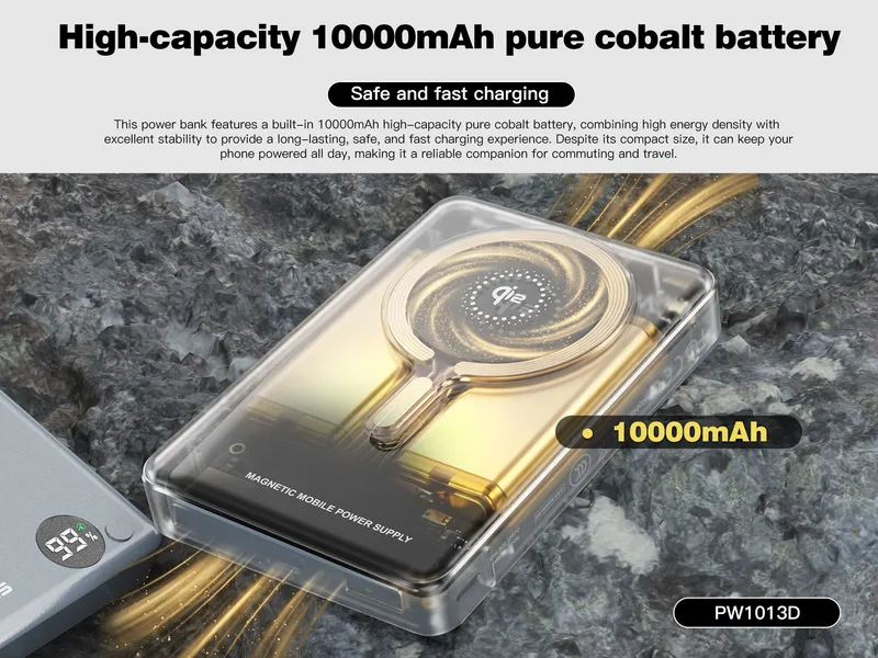 Lenyes 10,000 mAh Power Bank PW1013D
