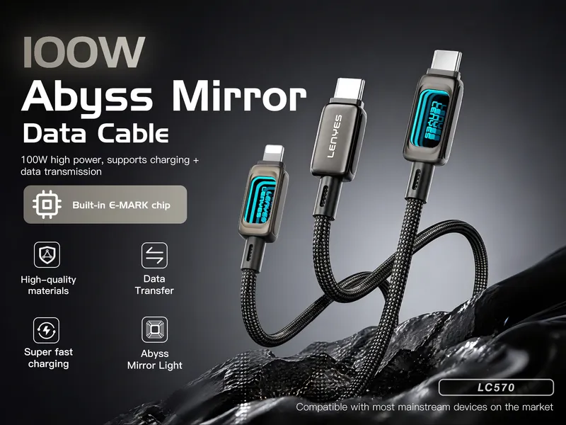 Lenyes USB-C to USB-C Cable LC570