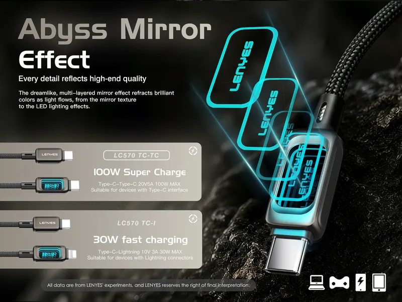 Lenyes USB-C to USB-C Cable LC570